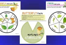 February Worksheet Bundle for Kids (6-9) : Fun Learning Every Month!