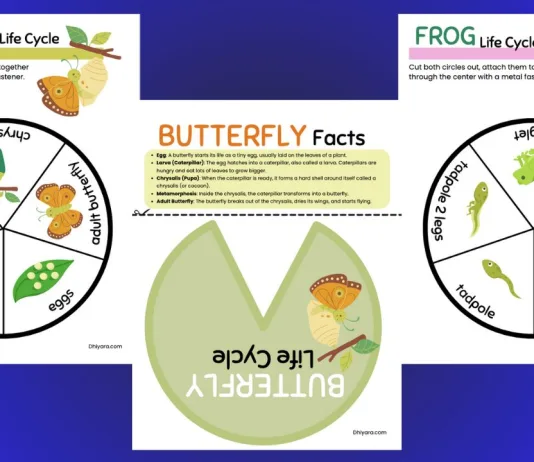 February Worksheet Bundle for Kids (6-9) : Fun Learning Every Month!