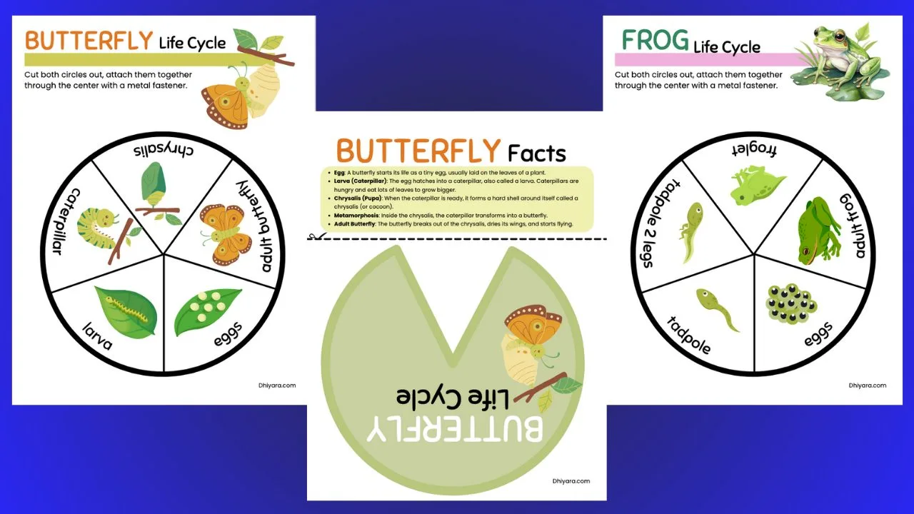 February Worksheet Bundle for Kids (6-9) : Fun Learning Every Month!