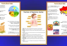 March Learning Bundle: Engaging Worksheets for Kids (6–10 Years)