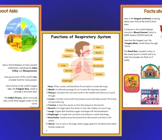 March Learning Bundle: Engaging Worksheets for Kids (6–10 Years)